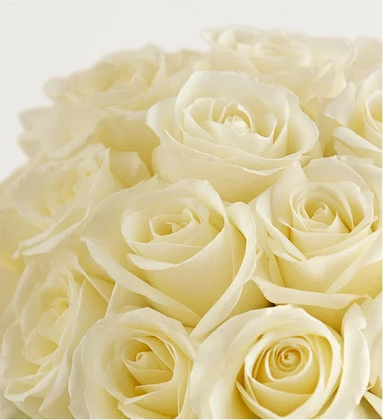 Clasic White Roses