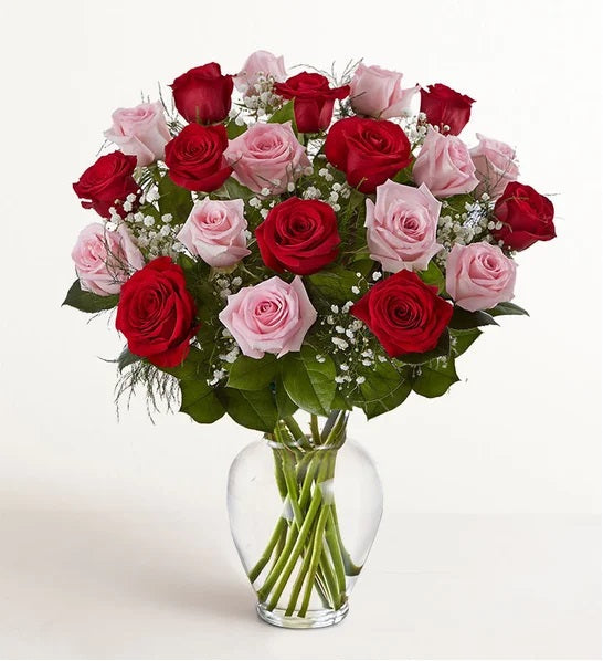 Clasic Red Pink Roses