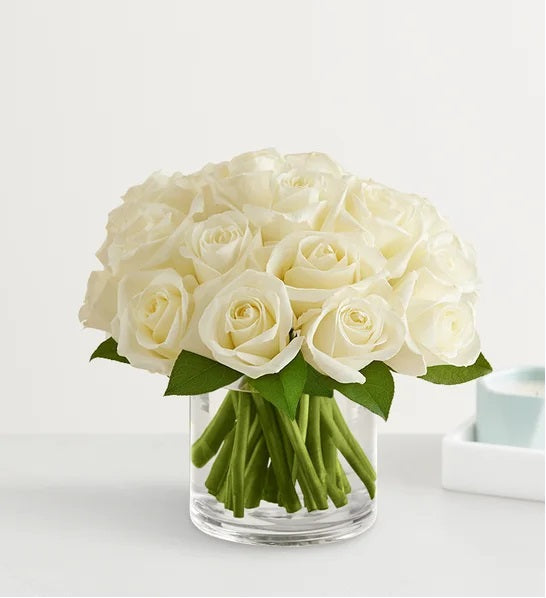 Clasic White Roses