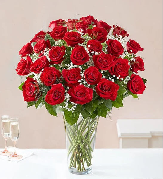 Clasic Red Roses