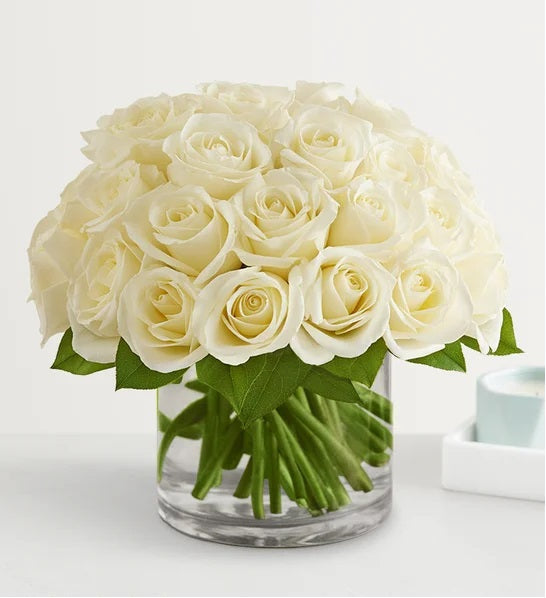 Clasic White Roses