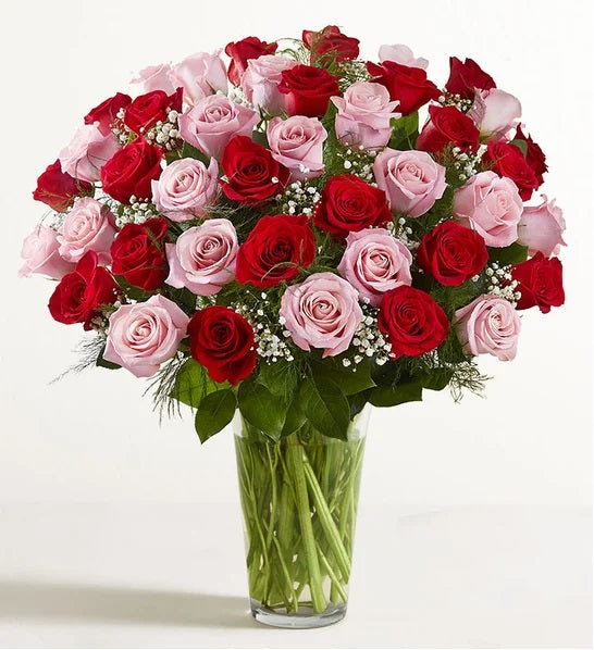 Clasic Red Pink Roses