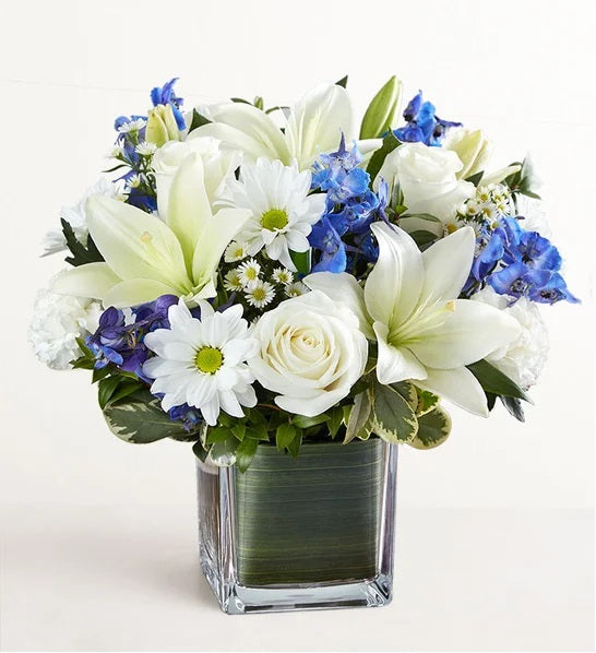 Blue White Breeze