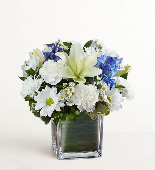 Blue White Breeze