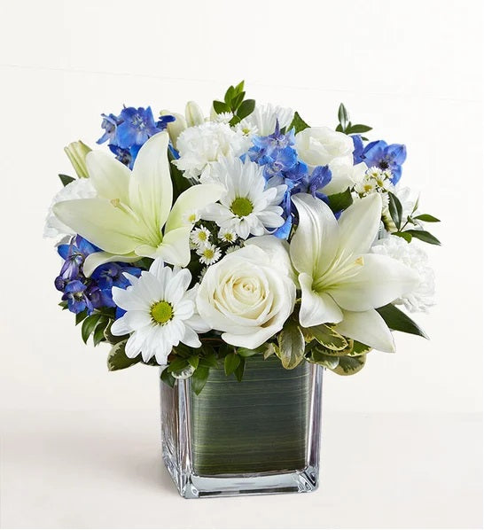 Blue White Breeze